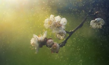 Itchy eyes – how to treat eye allergies